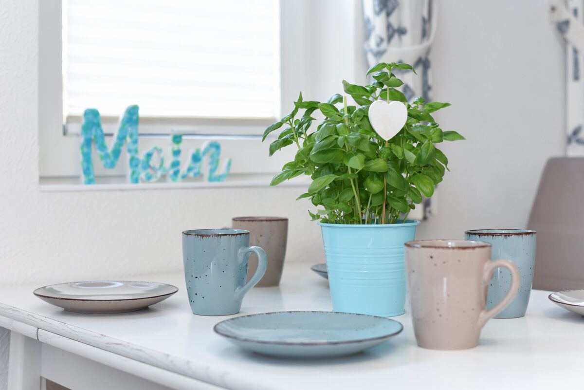 Ferienwohnung-DerSeehund-Robbe13